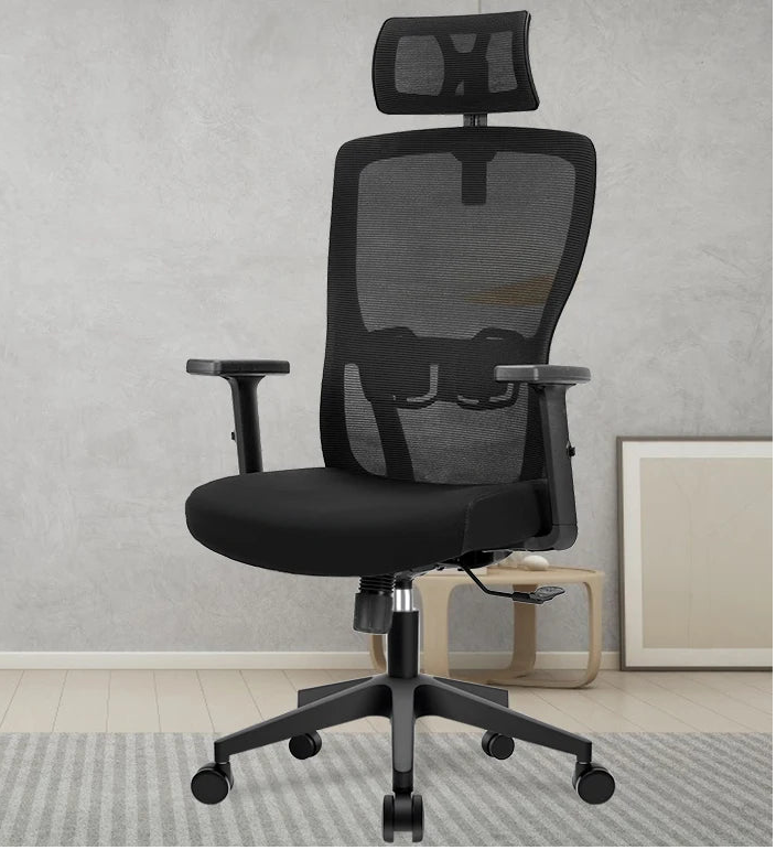 Chaise Ergonomique SEATERGO Dossier en S & Appui-tête Réglable