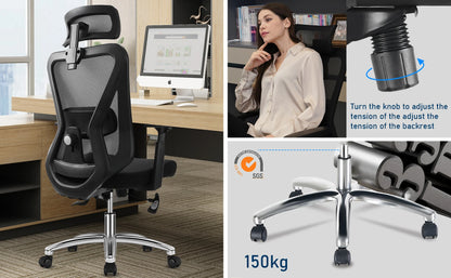 Chaise Ergonomique SEATERGO™ Soutien Lombaire Soft & Base Métal