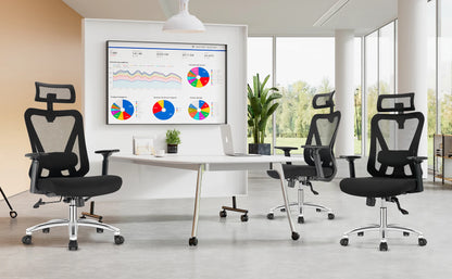 Chaise Ergonomique SEATERGO™ Soutien Lombaire Soft & Base Métal